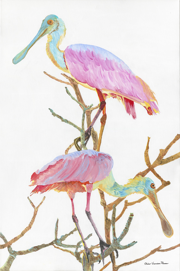 Roseate Spoonbills I